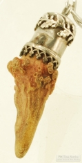 Unusual silver capped tooth fob